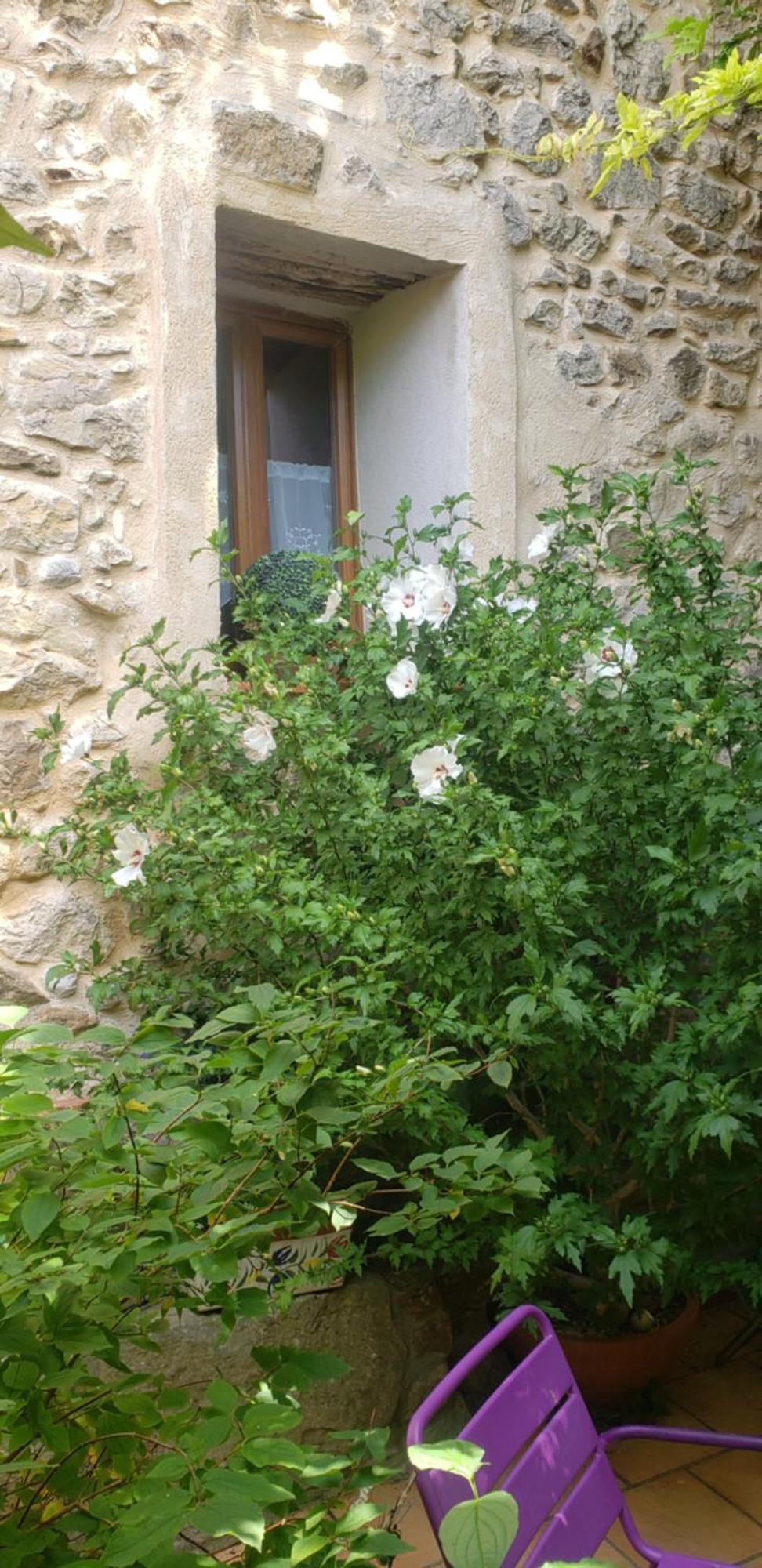 Le Chateau Camps-sur-l'Agly Экстерьер фото