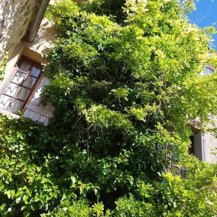 Le Chateau Camps-sur-l'Agly Экстерьер фото